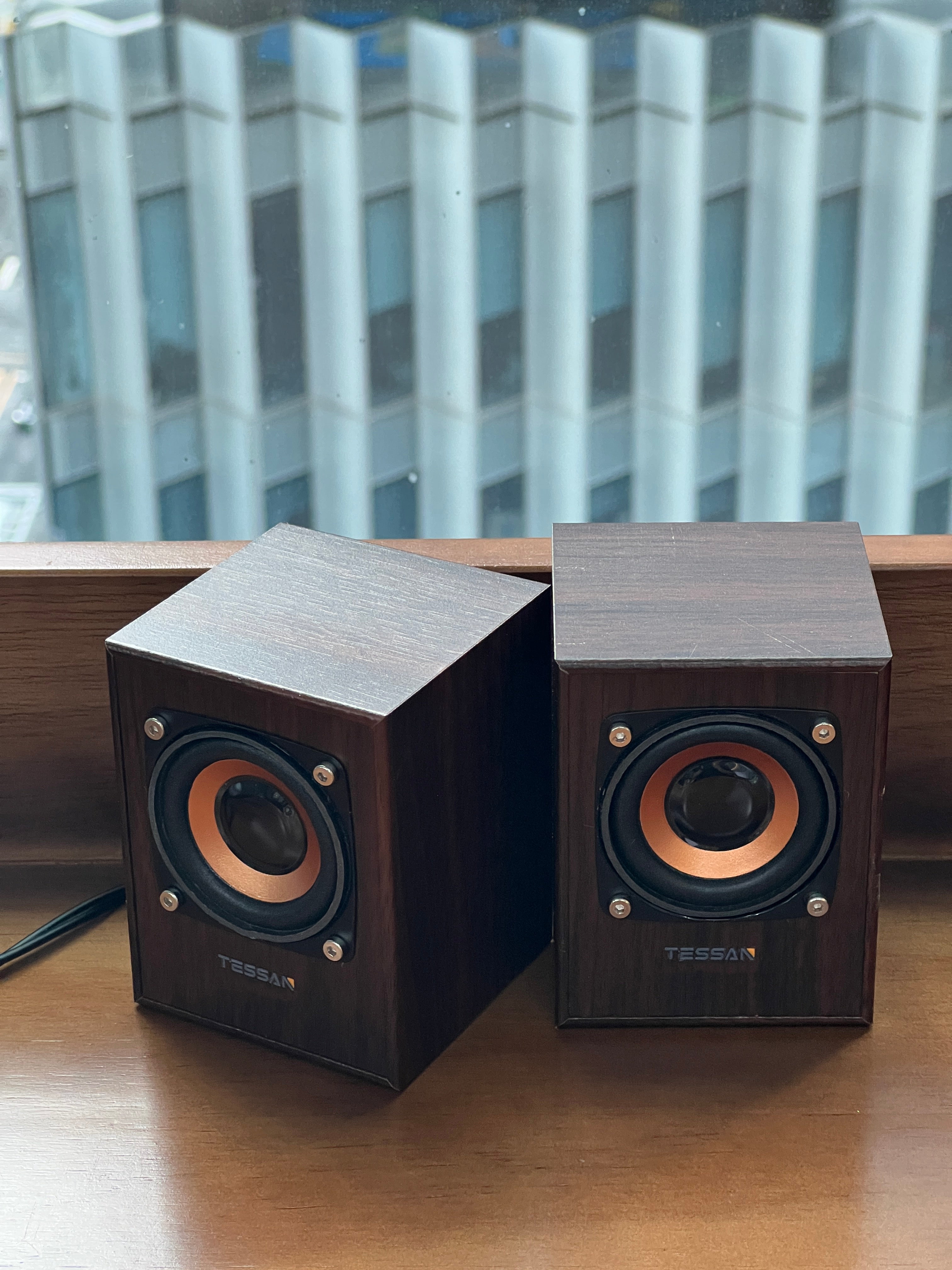 TESSAN Vintage Wooden HiFi Speaker with Powerful Bass for Desktop and Laptop Use