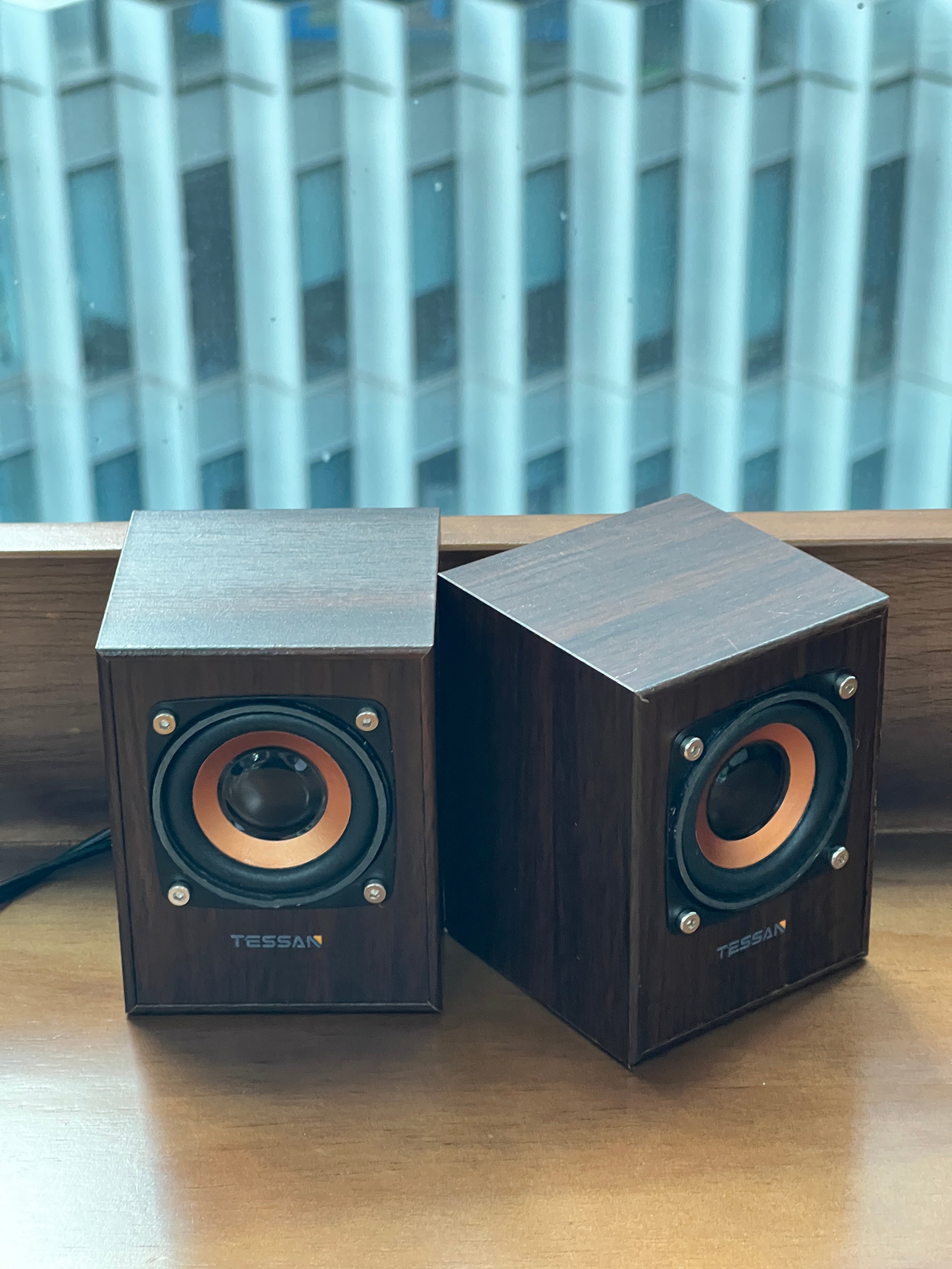 TESSAN Vintage Wooden HiFi Speaker with Powerful Bass for Desktop and Laptop Use