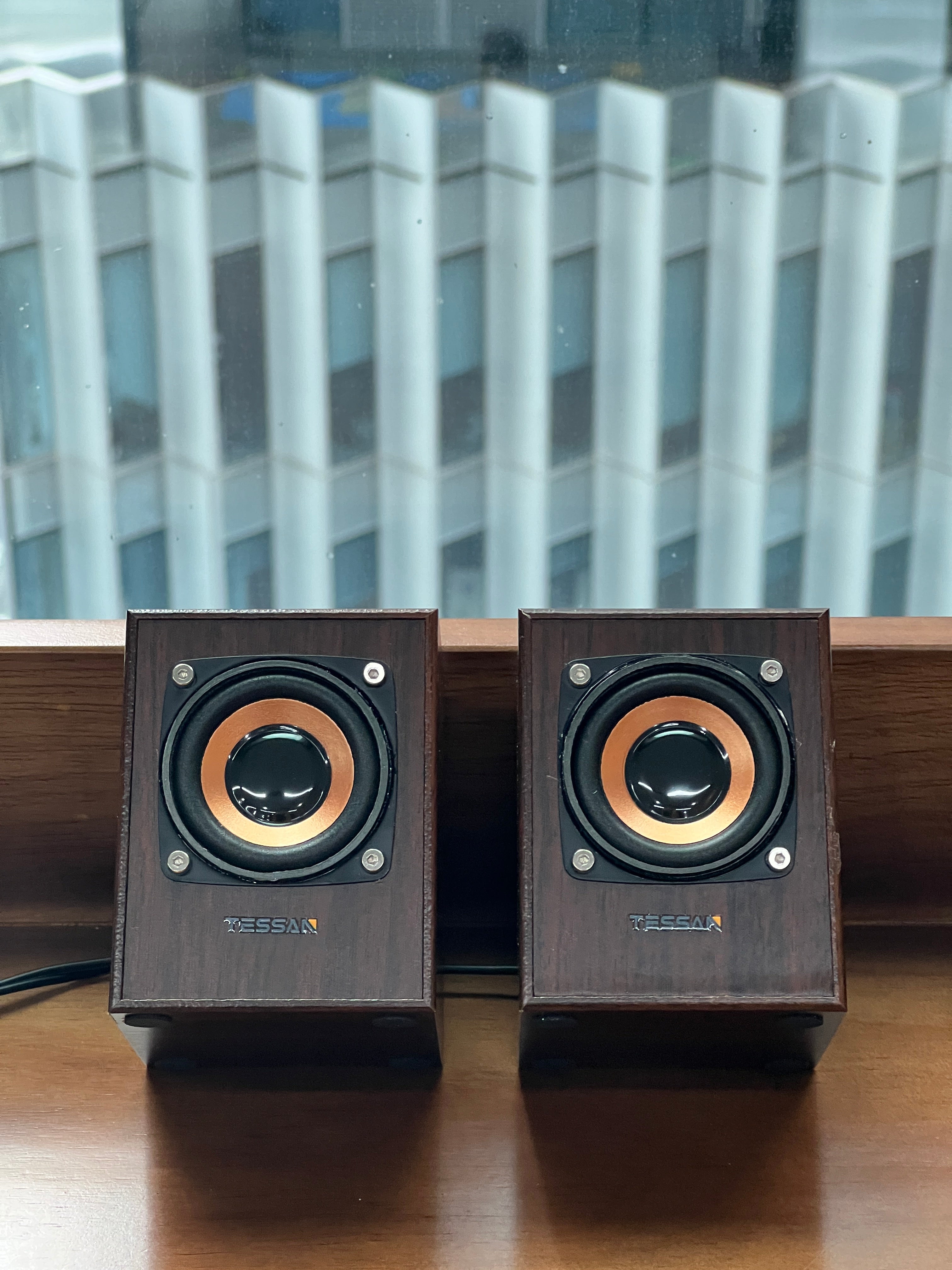 TESSAN Vintage Wooden HiFi Speaker with Powerful Bass for Desktop and Laptop Use