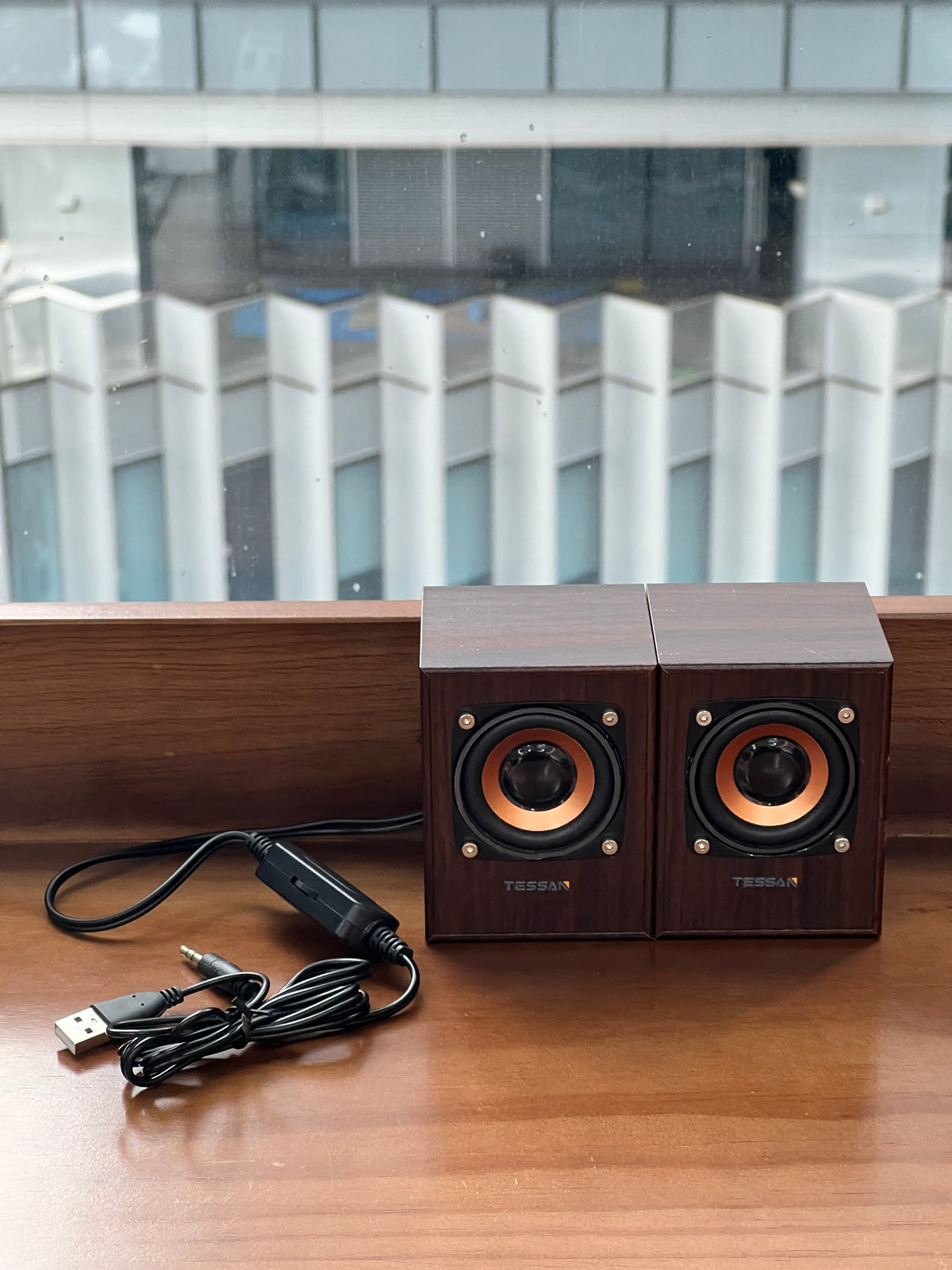 TESSAN Vintage Wooden HiFi Speaker with Powerful Bass for Desktop and Laptop Use