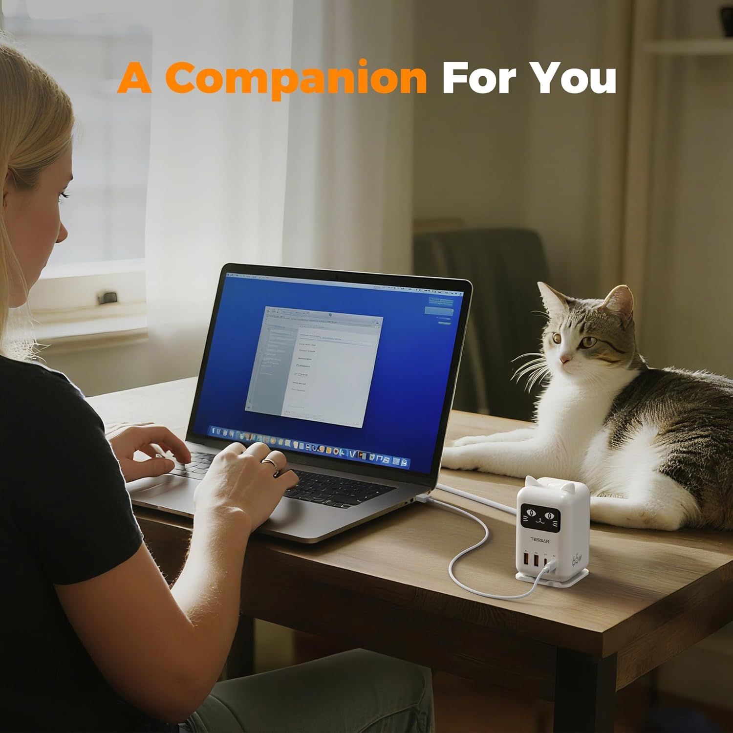 TESSAN PD 65W USB C Charging Station CS07