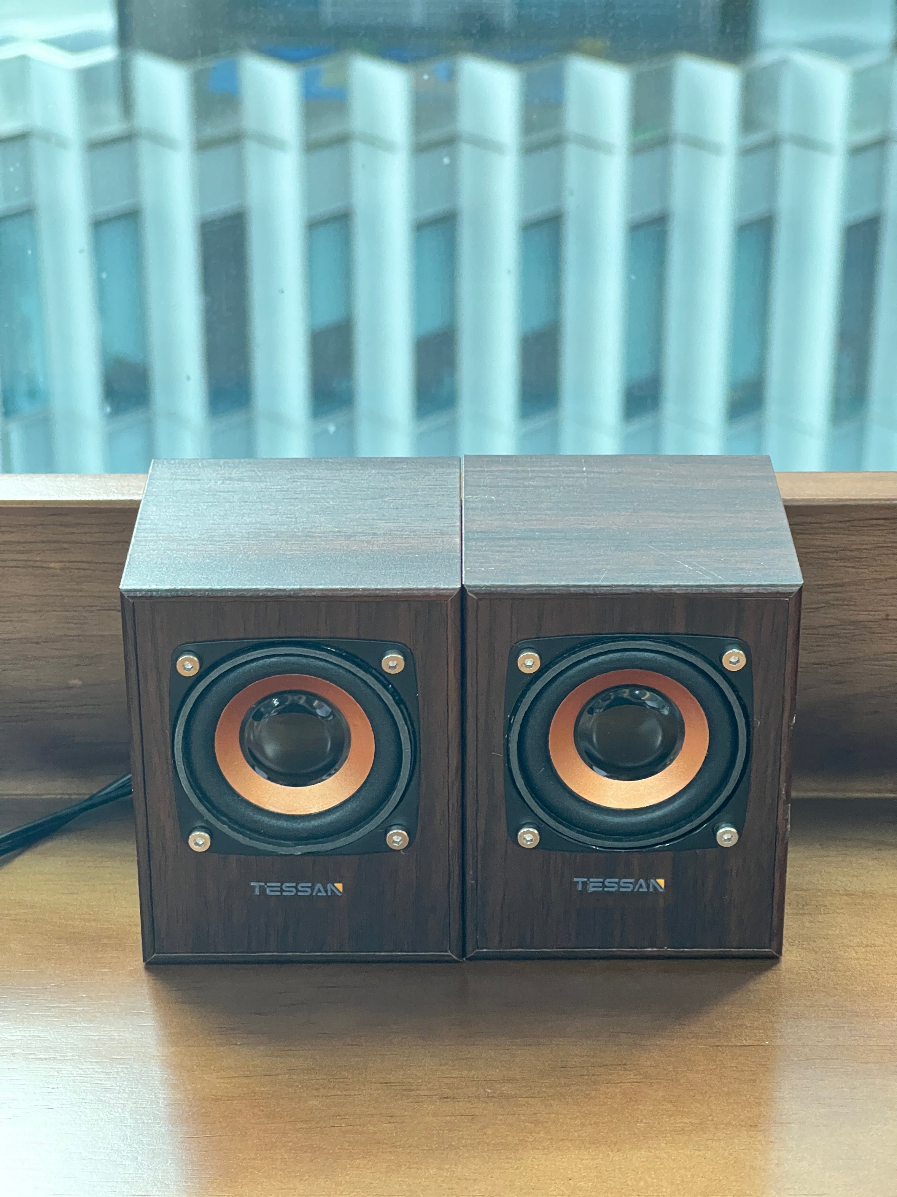 TESSAN Vintage Wooden HiFi Speaker with Powerful Bass for Desktop and Laptop Use