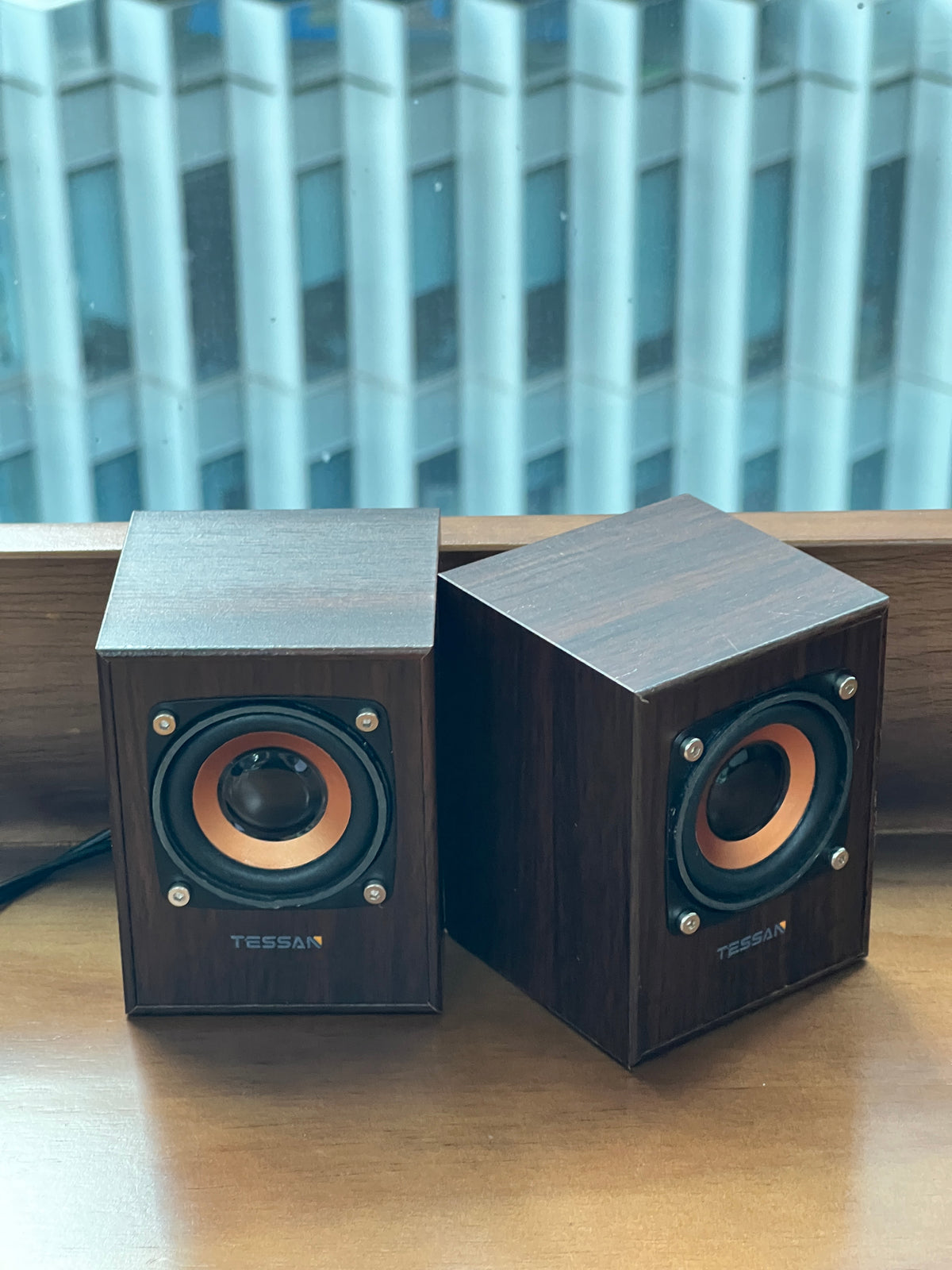 TESSAN Vintage Wooden HiFi Speaker with Powerful Bass for Desktop and Laptop Use