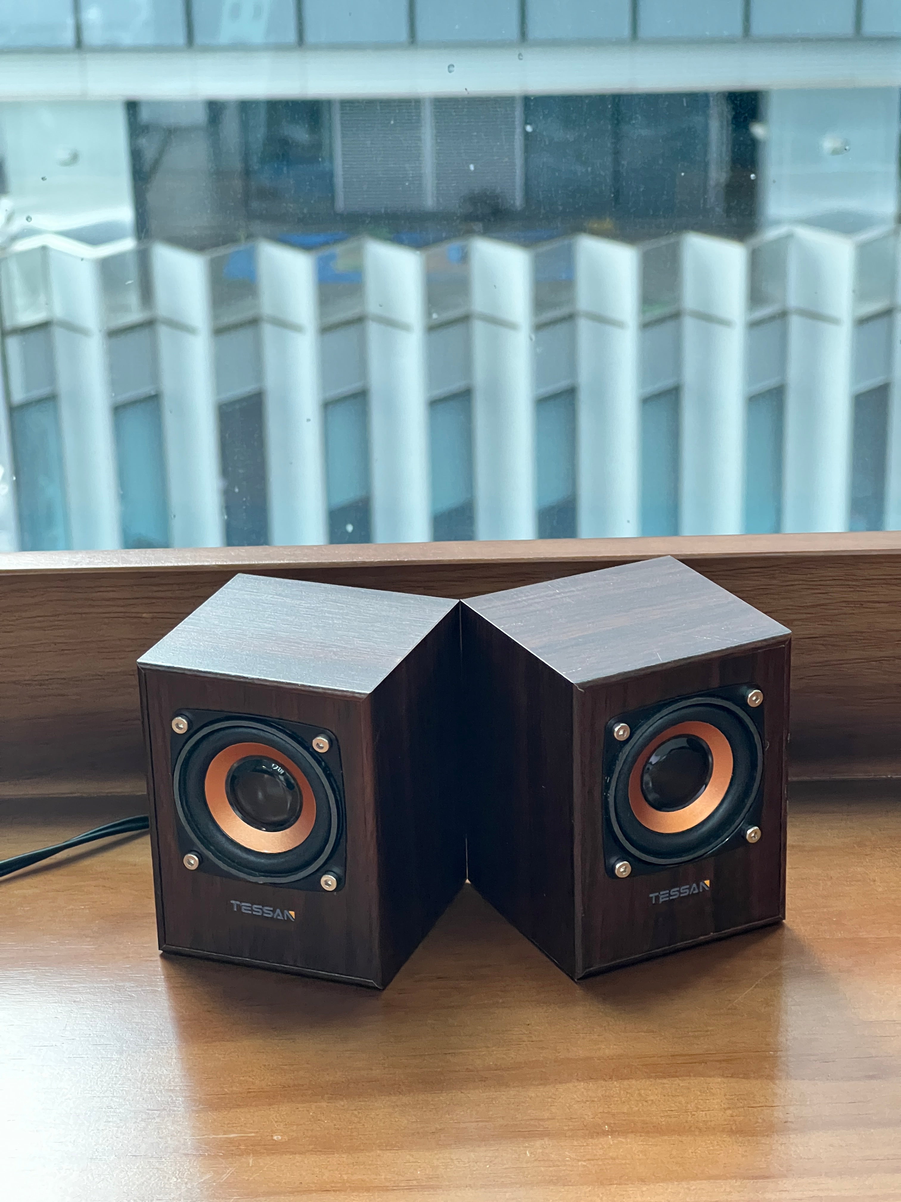 TESSAN Vintage Wooden HiFi Speaker with Powerful Bass for Desktop and Laptop Use
