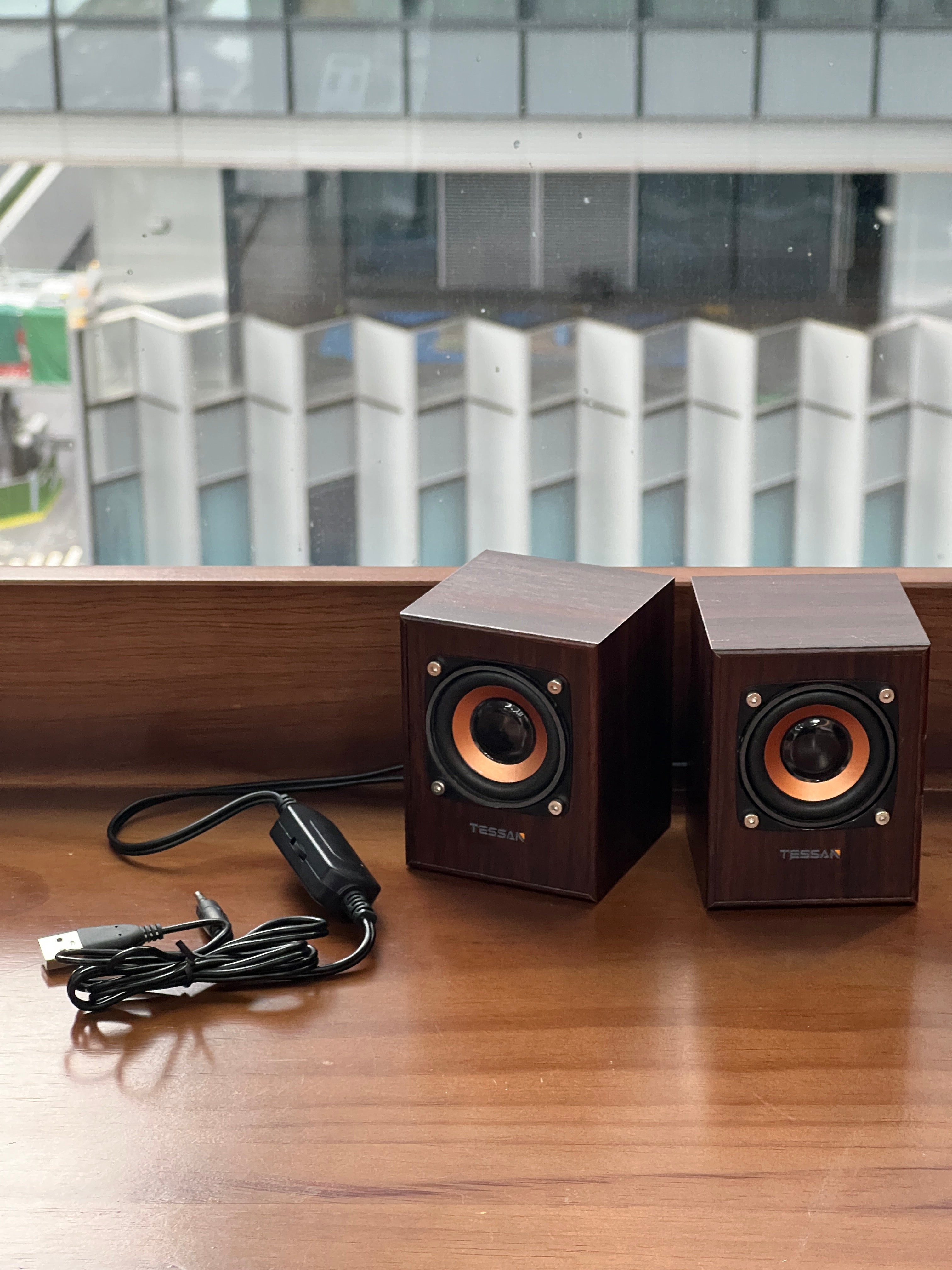 TESSAN Vintage Wooden HiFi Speaker with Powerful Bass for Desktop and Laptop Use